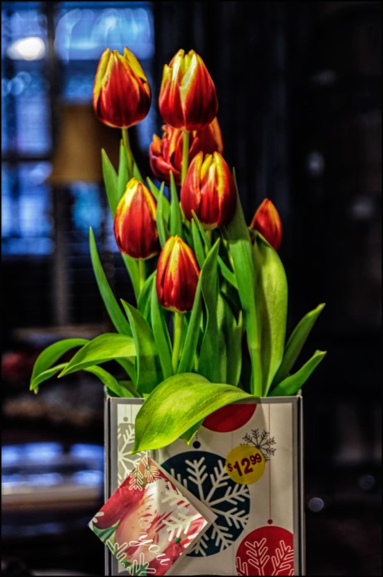 Box-of-Tulips-New-1200